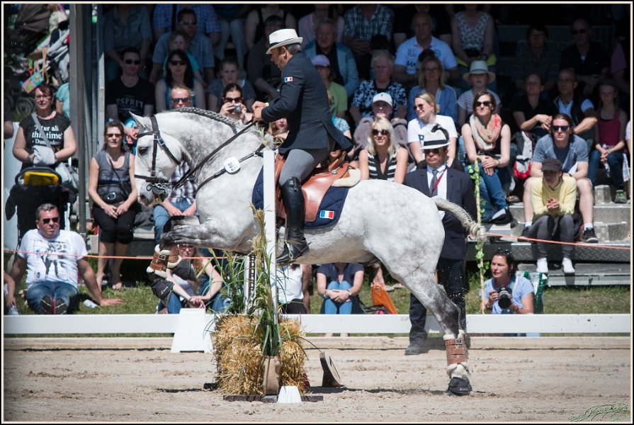 Pferd International 080